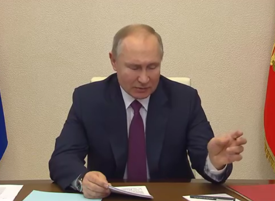 Скриншот видеоконференции совещания по социальным вопросам от 5 января с Владимиром Путиным