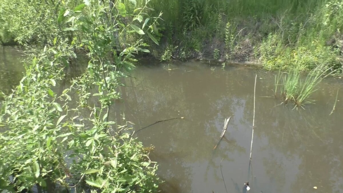 Вот так выглядит участок оросительной канавы