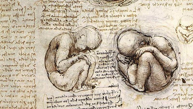 иллюстрации великого Леонардо Да Винчи (подскажите как всётаки правильно: даВинчи или ДаВинчи?)