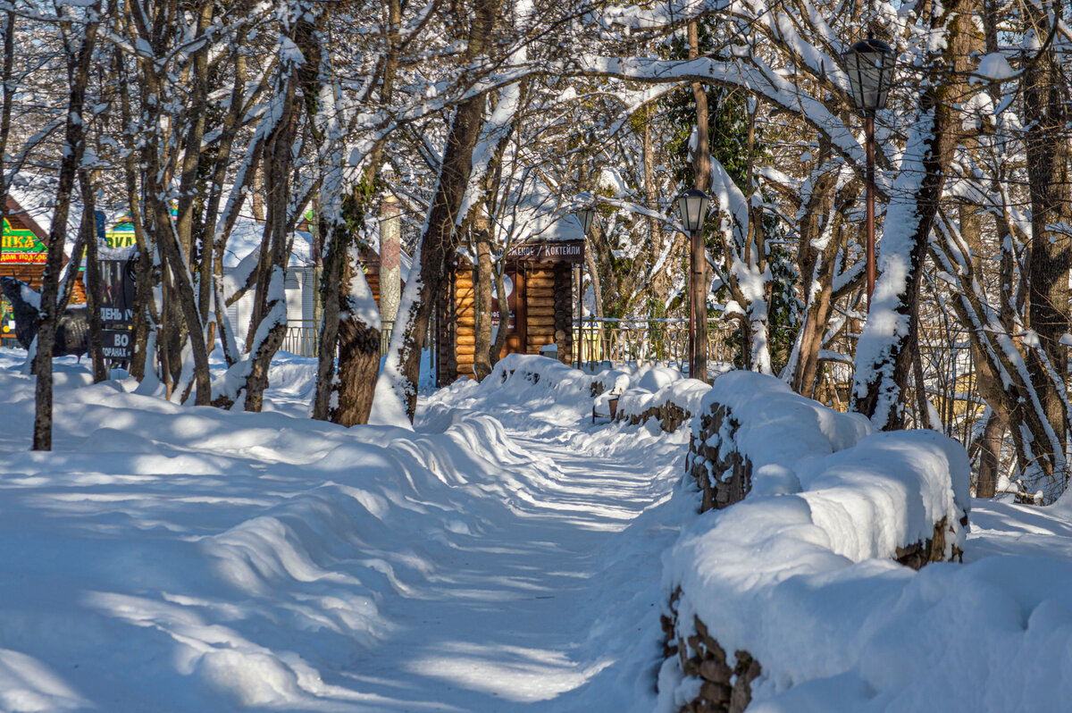 мороз и солнце, день чудесный