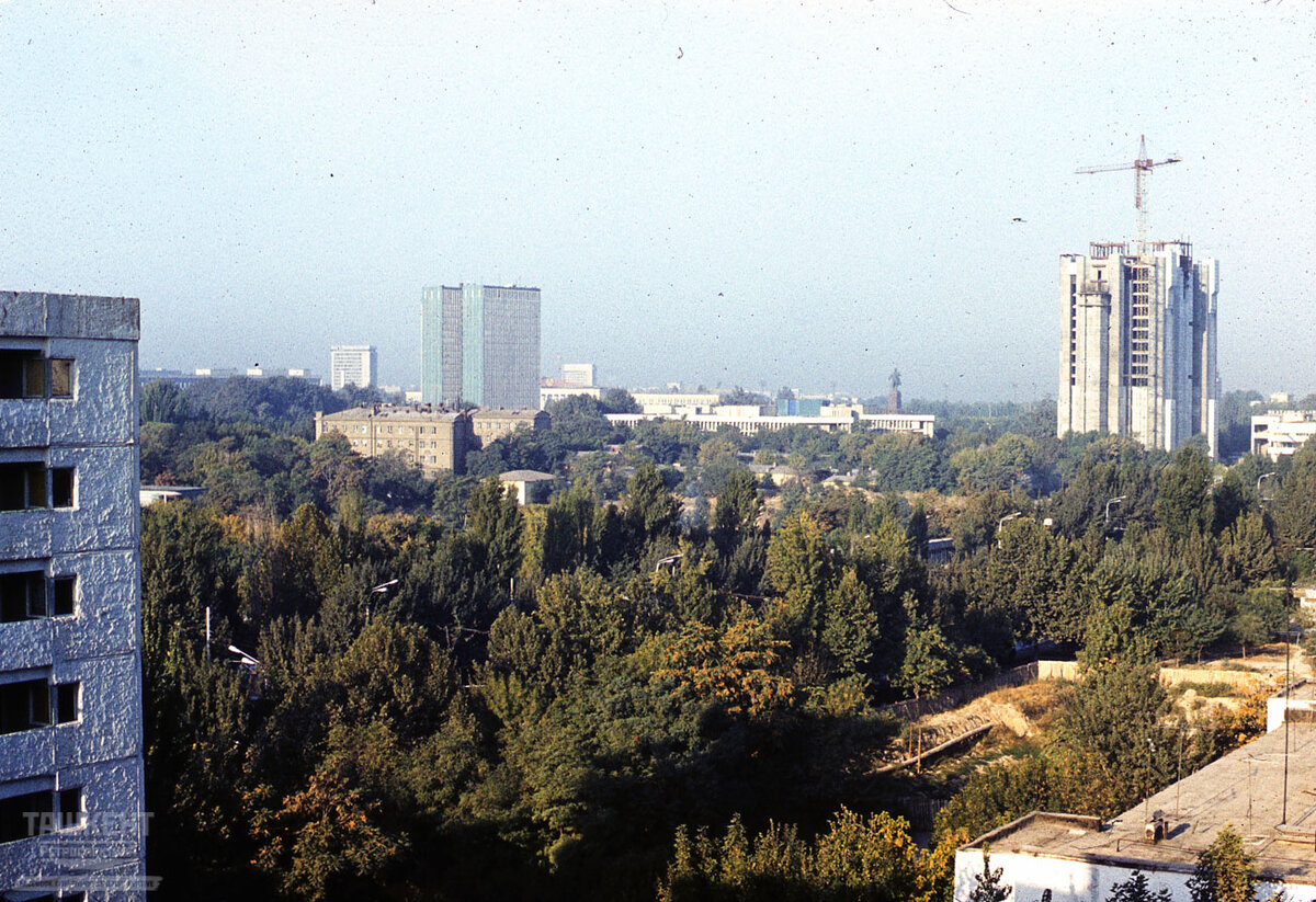 Ташкент в цвете. 1985 г. Прекрасные фотографии от участника Всесоюзной  конференеции. Часть 1-я | Tashkent Retrospective | Дзен