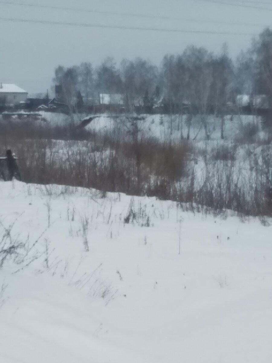 Небольшая речка прямо за нашим огородом