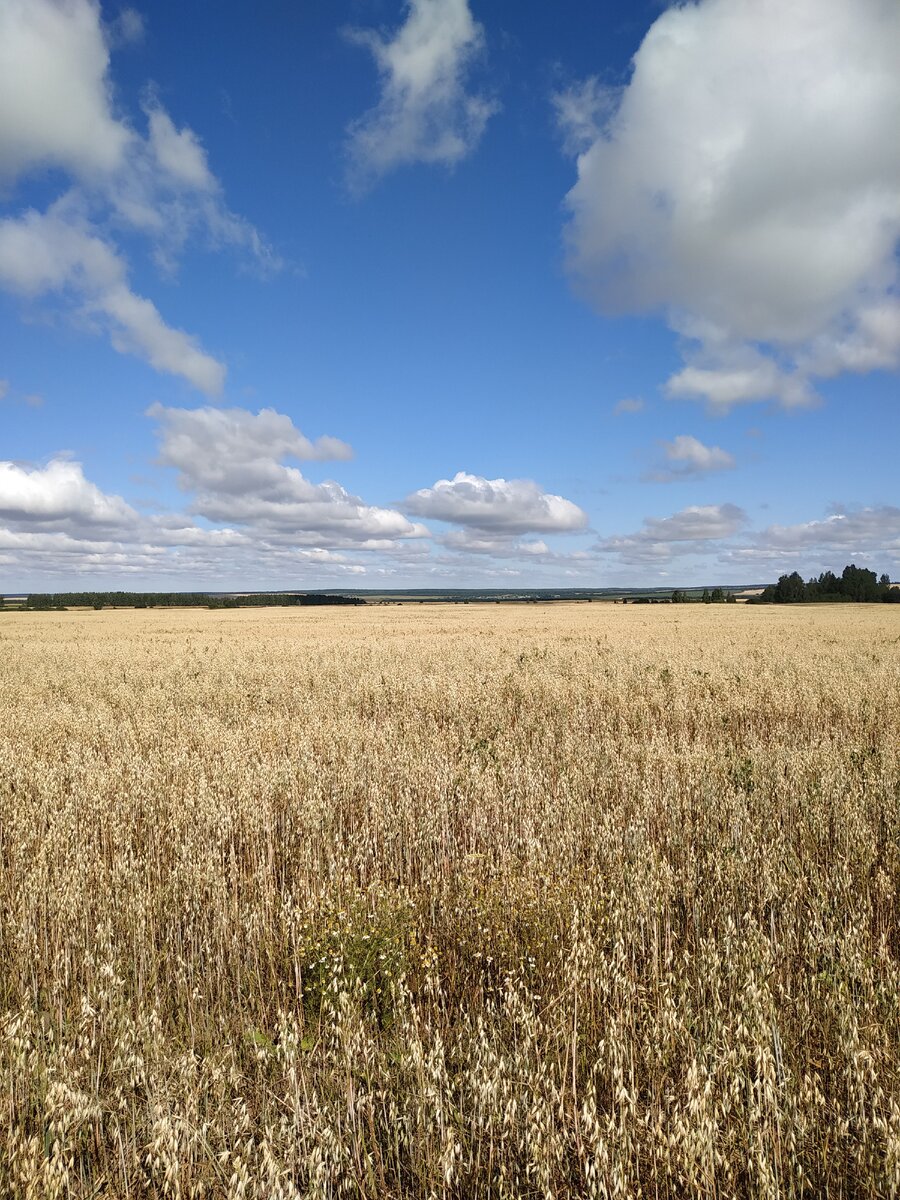 Я живу в прекрасном мире!