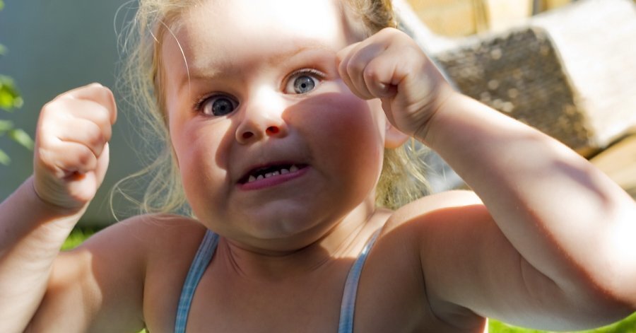 Фото взято из открытых источников информации.