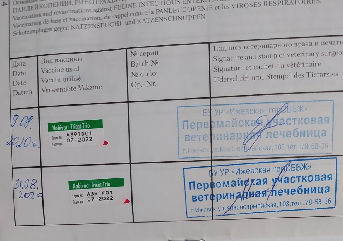 Прививки Nobivac - Tical Trio с разницей 21 день