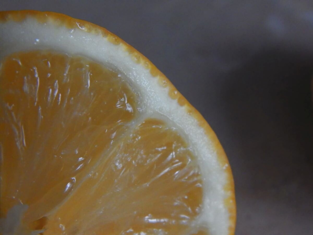 Оранжевый лимон. Гибрид апельсина. Лимон гибрид. Лимон оранжевого цвета.
