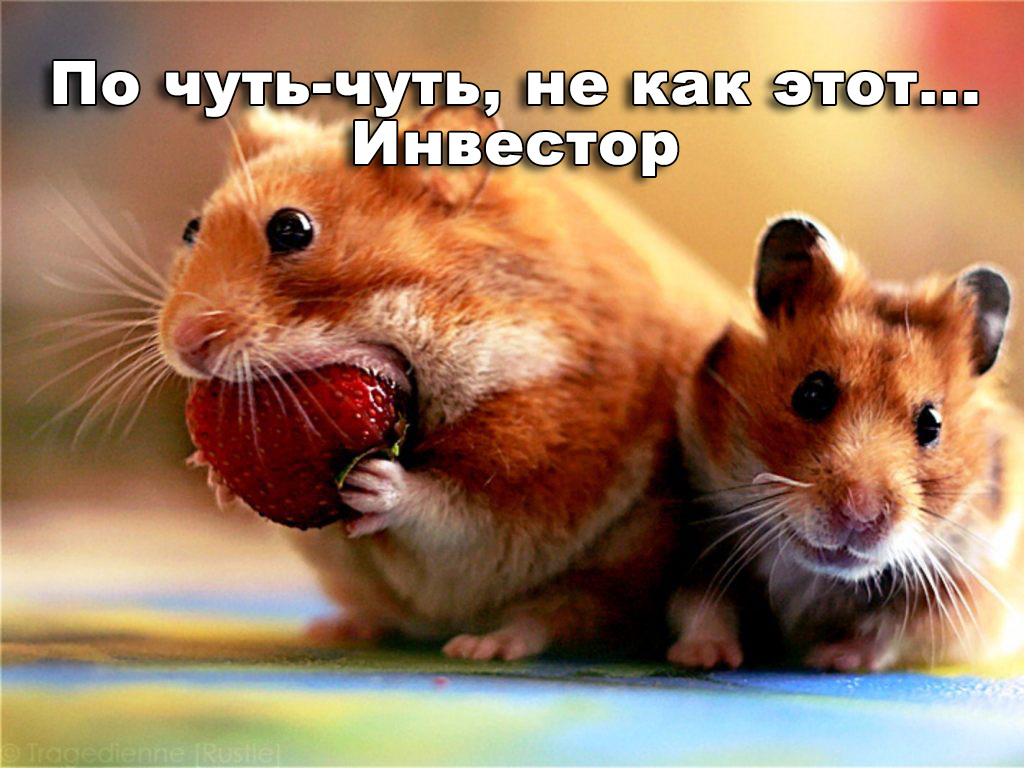 Не спешите вкладывать сразу много денег в фондовый рынок