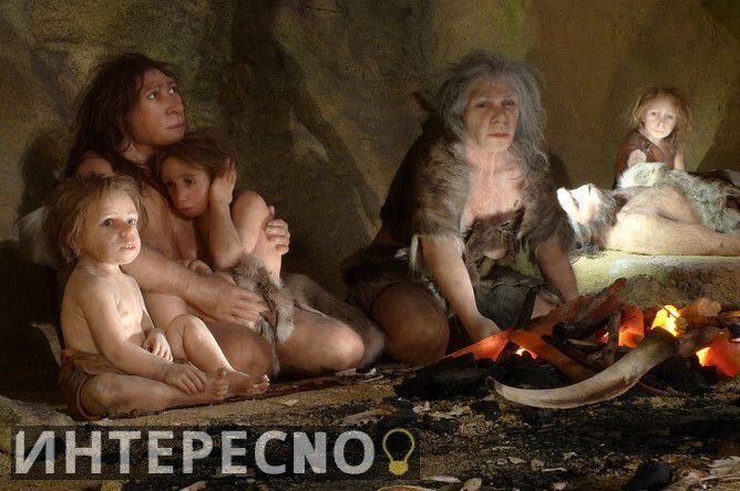 Семейный образ неандертальцев