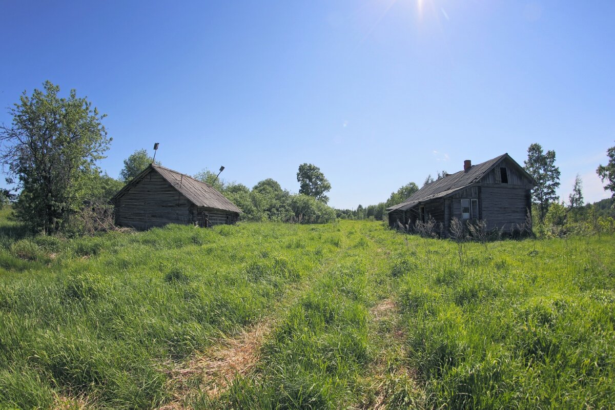 Деревня Галкино Ивановская область. Деревня Галкино. Село Галкино-Врасское..