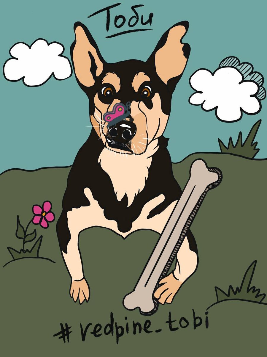 На картинке Тоби. Мой подопечный. 