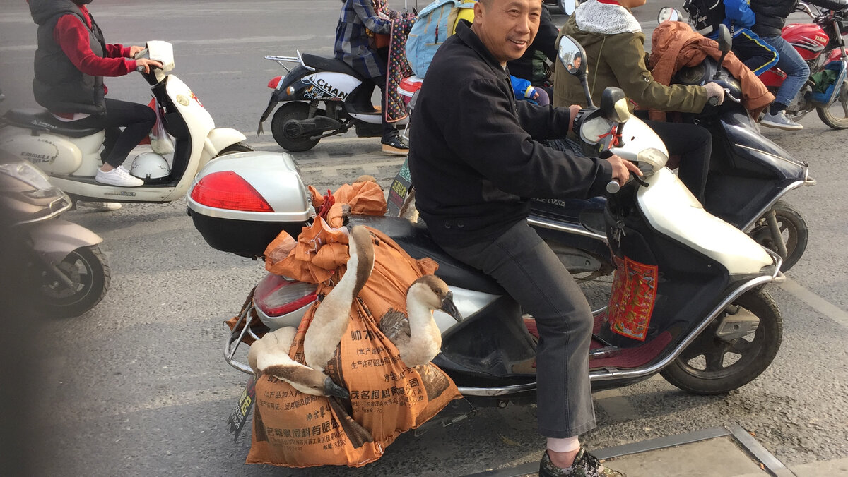 Китайская жизнь просто, но до ужаса интересна