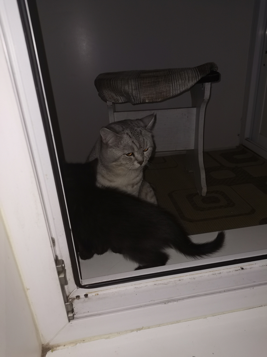 У нас всегда открыт балкон, но закрыты окна на самом балконе. 