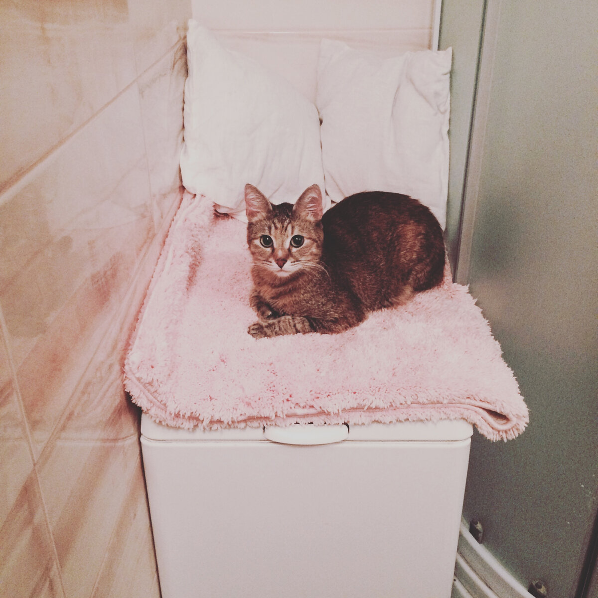 Лара спряталась в ванной ) 