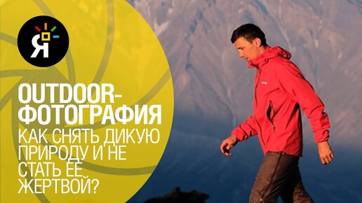 Как снять дикую природу и не стать ее жертвой? Outdoor - фотография | Интервью | RedFox