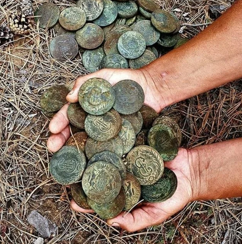 Клад монет 2023г. Монеты находки копателей. Харьевский клад. Монетный клад.