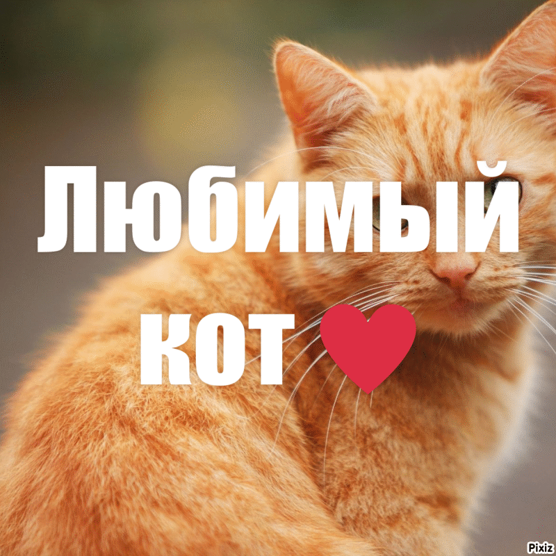 коллаж автора