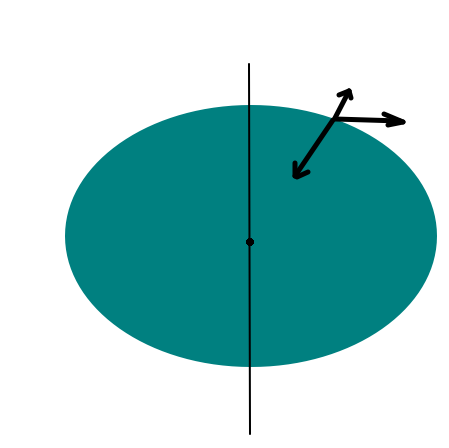 Сила тяжести действует "вниз". Может. не точно к центру, надо считать. Реакция - перпендикулярно к поверхности. Центробежная сила - под прямым углом к оси. В равновесии сумма сил нуль, что и означает постоянство потенциала.