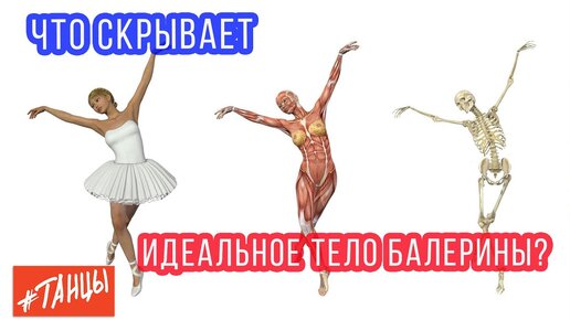 Что скрывает идеальное тело балерины