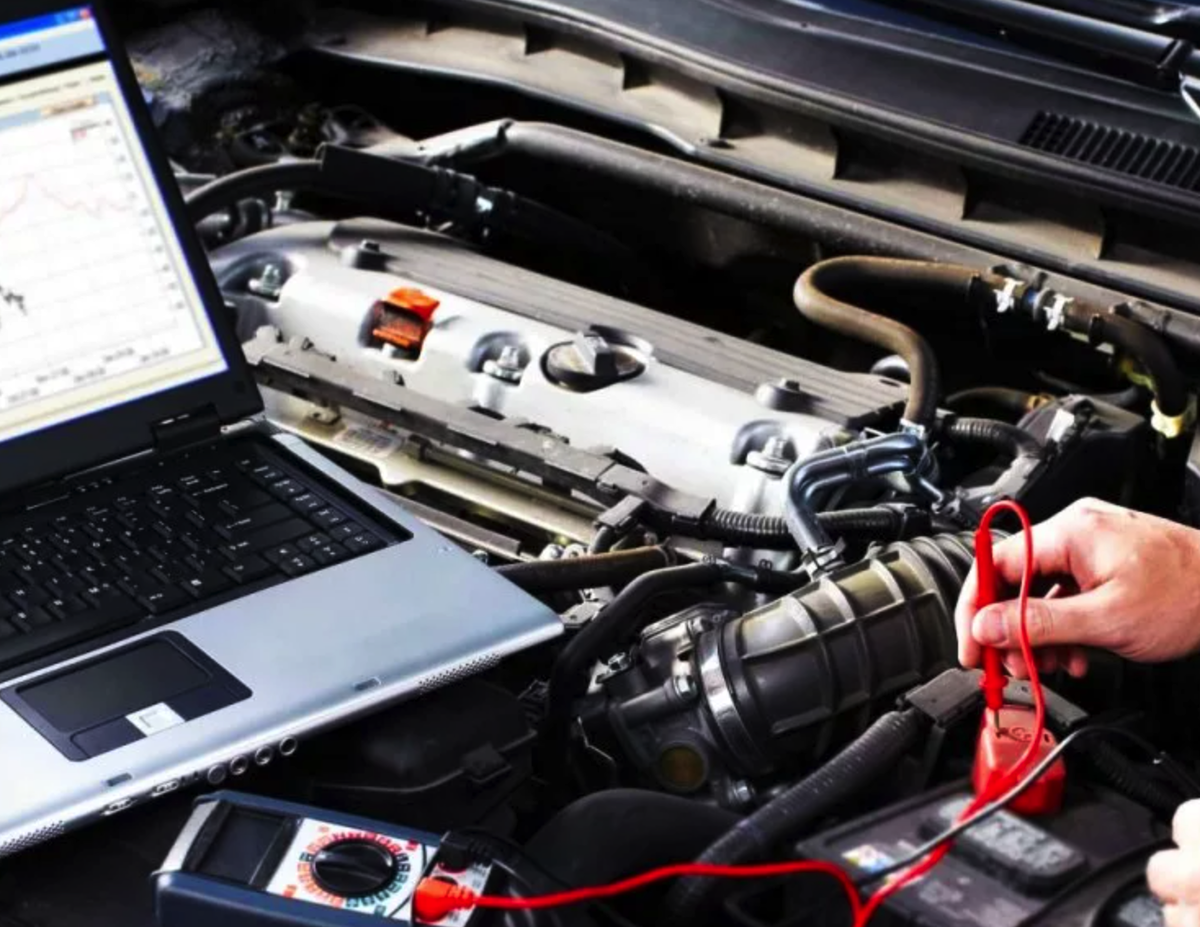 Фото взято с Яндекс.Картинки