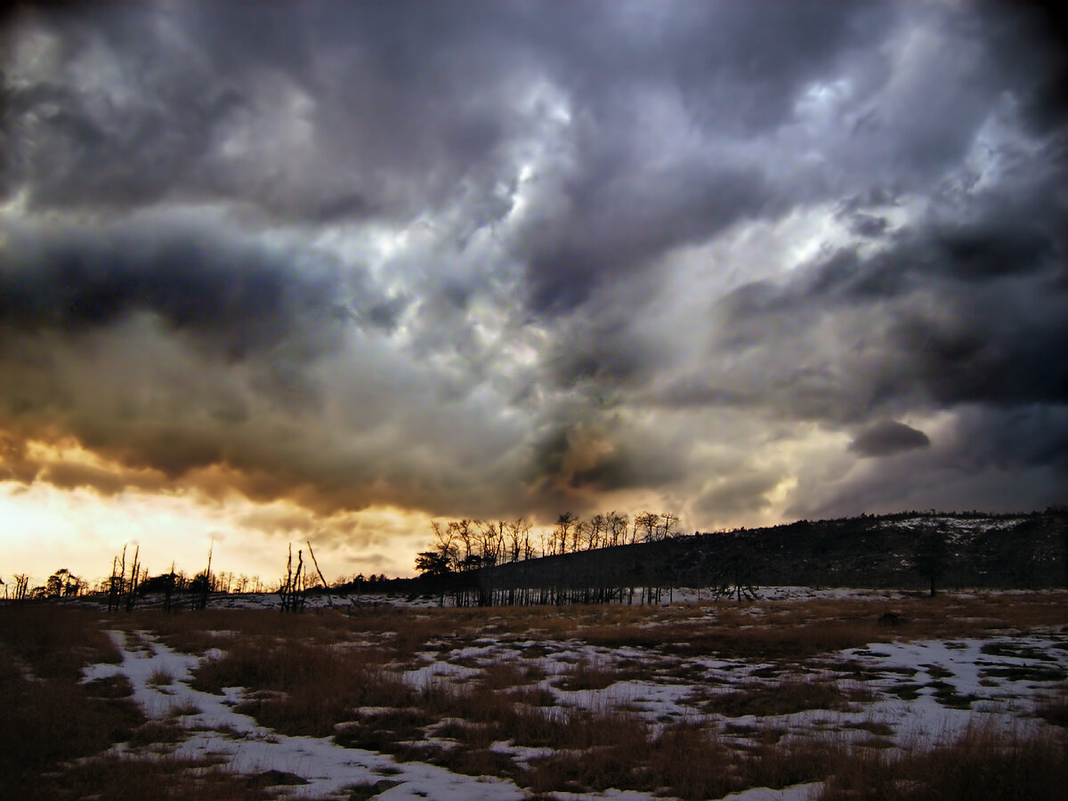 Яндекс картинки, свободный доступ
