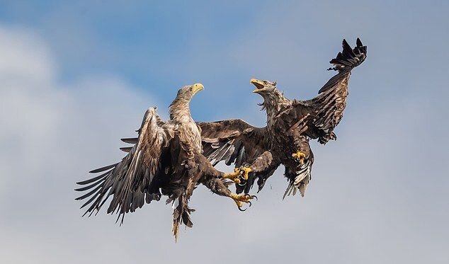 Фото: Gary Jones, dailymail.co.uk