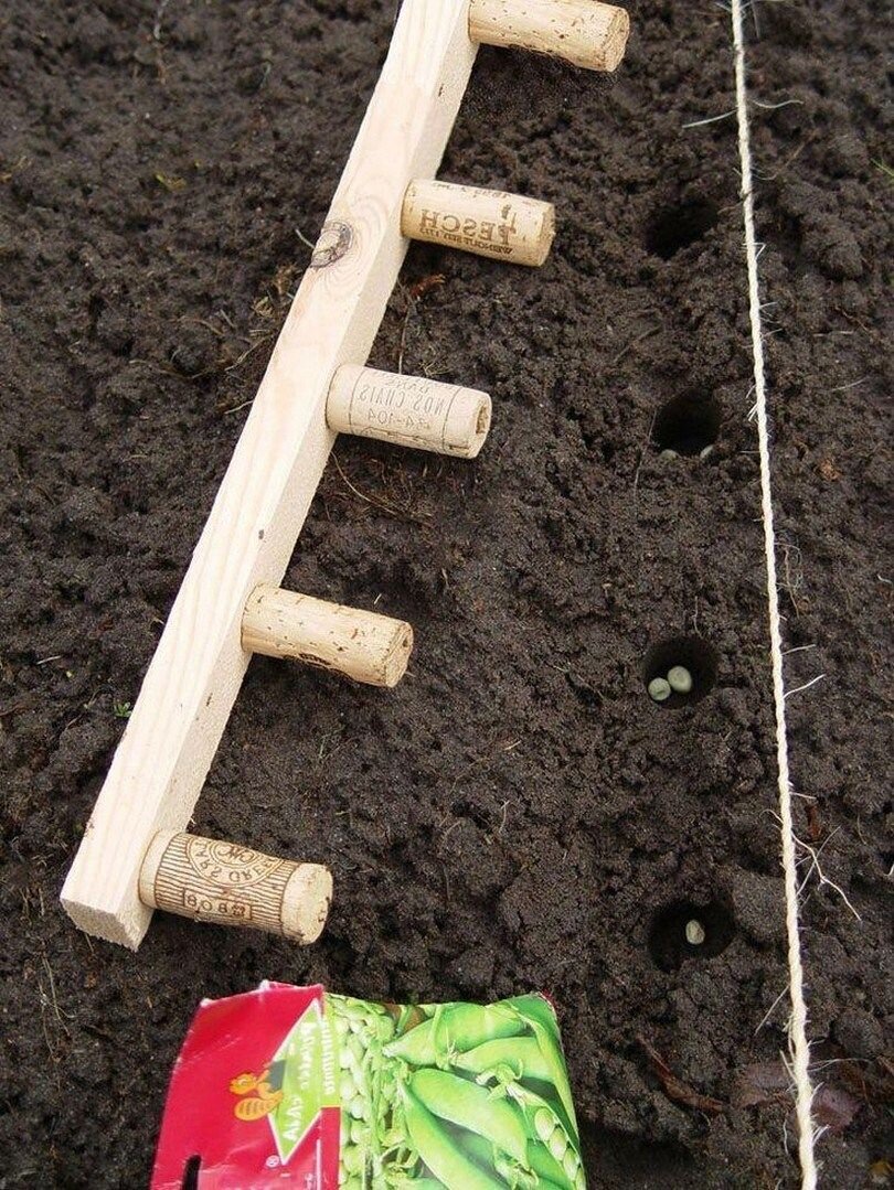 На 3 грядки посадили 27 луковиц. Приспособление для посева. Приспособление для рассадки семян. Приспособление для посадки грядок. Приспособление для посева моркови.