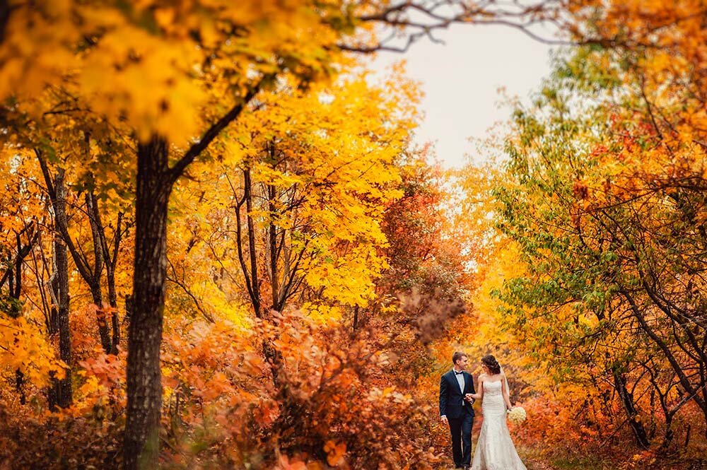 Фото взято из открытых источников