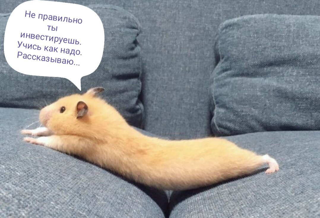 Типичный эксперт 