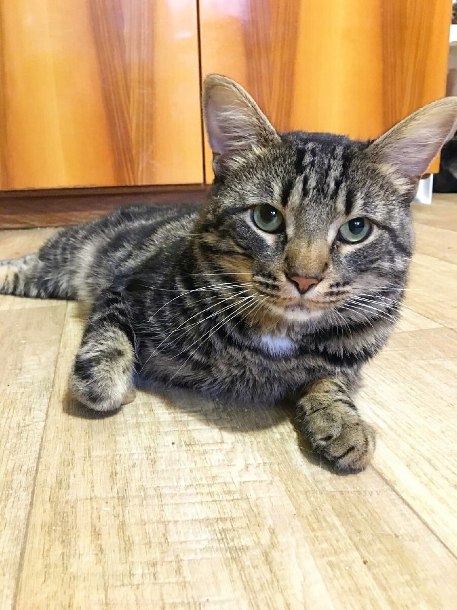 Феофан не теряет аппетита...