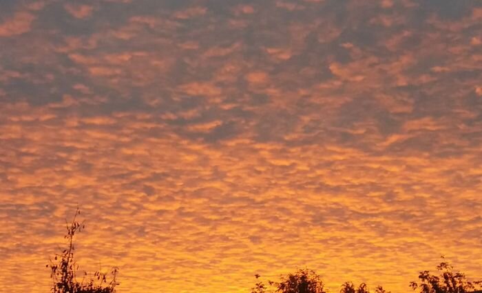 Из личного архива автора канала