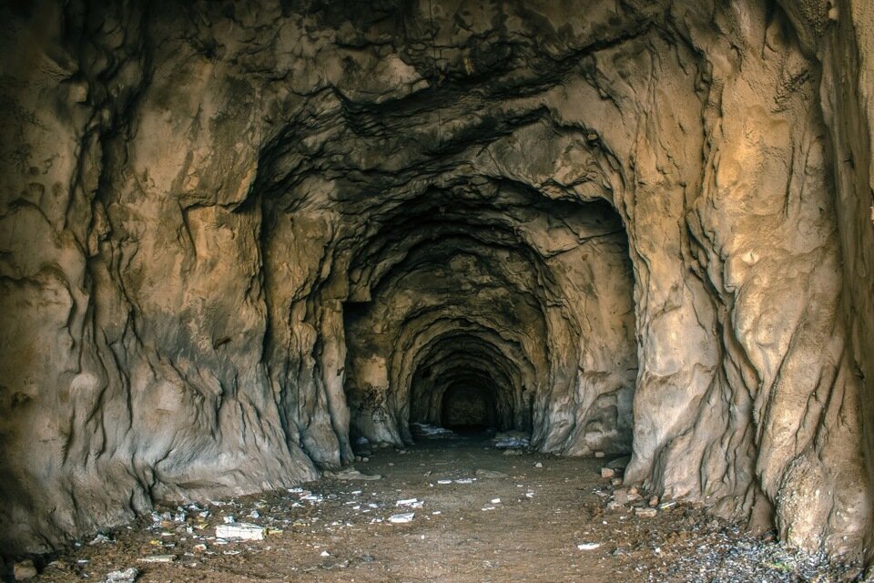 Рисунок из Интернета