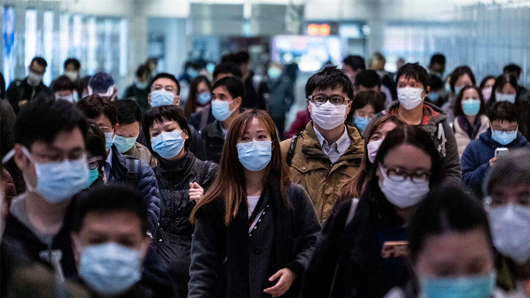 Фото из интернета: https://csn-tv.ru 