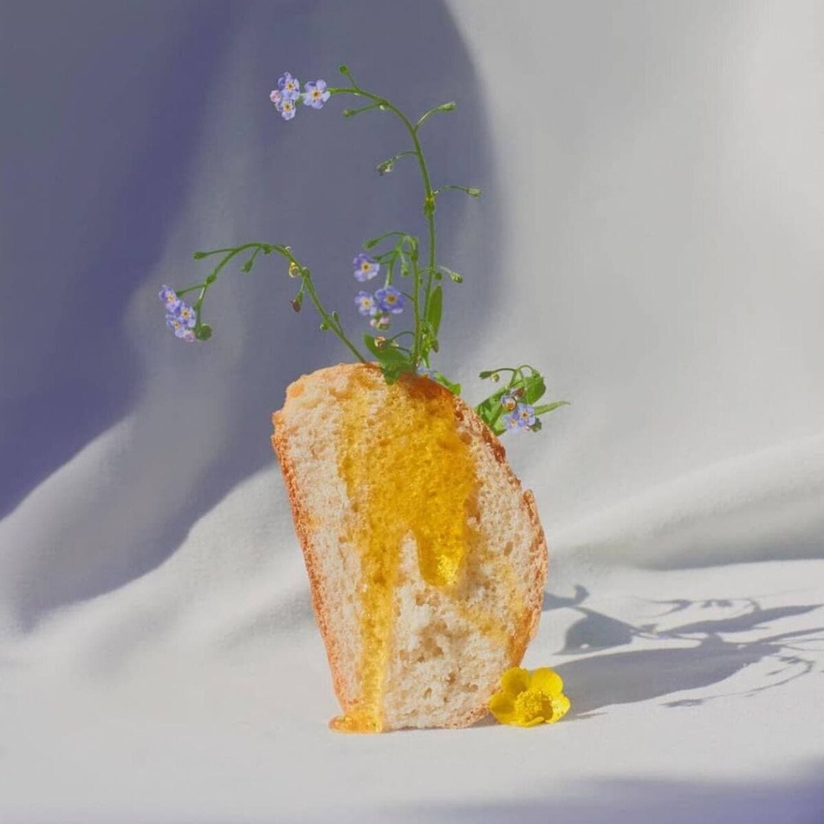 instagram.com/vaasialis