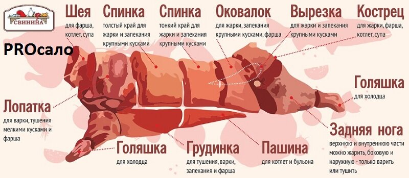 Источник: яндекс картинки.