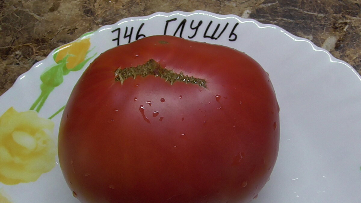 -65