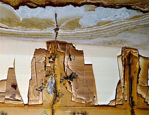 Фото из открытого источника