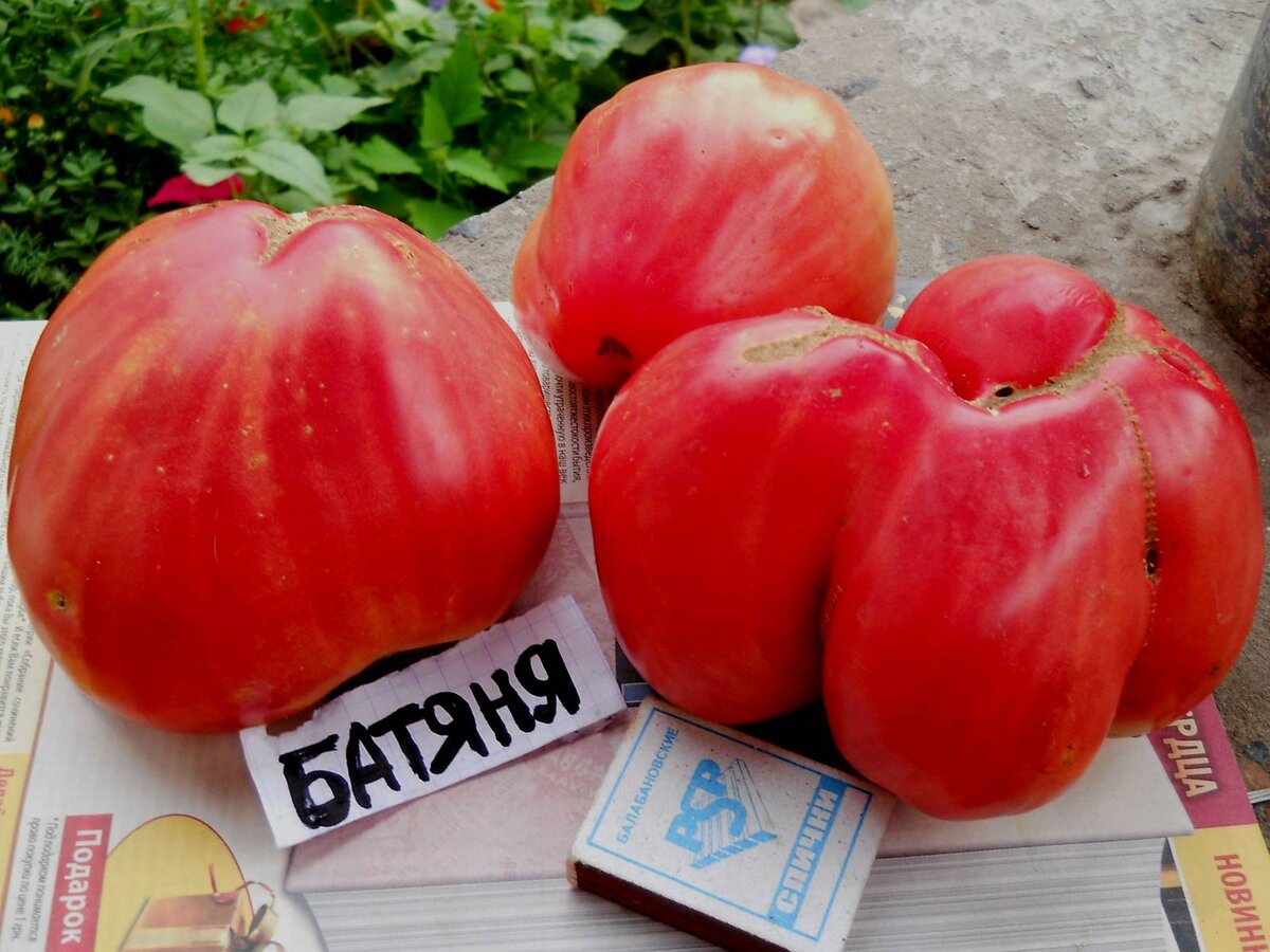 Батяня - Альбомы - tomat-pomidor.com