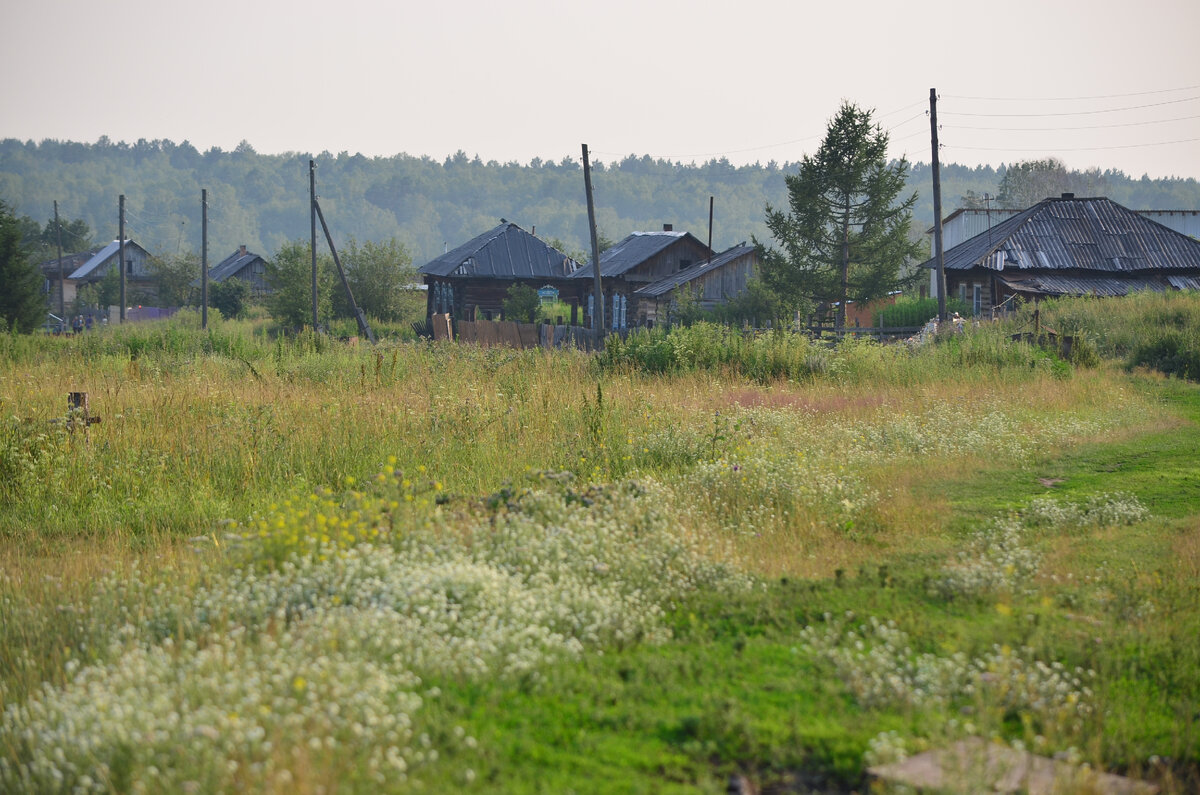 Лето. Фото автора