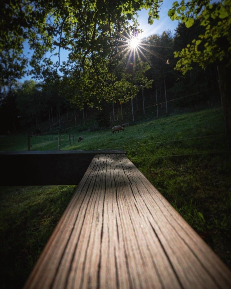 Фото instagram.com/p/CUGK_eCq5dx/