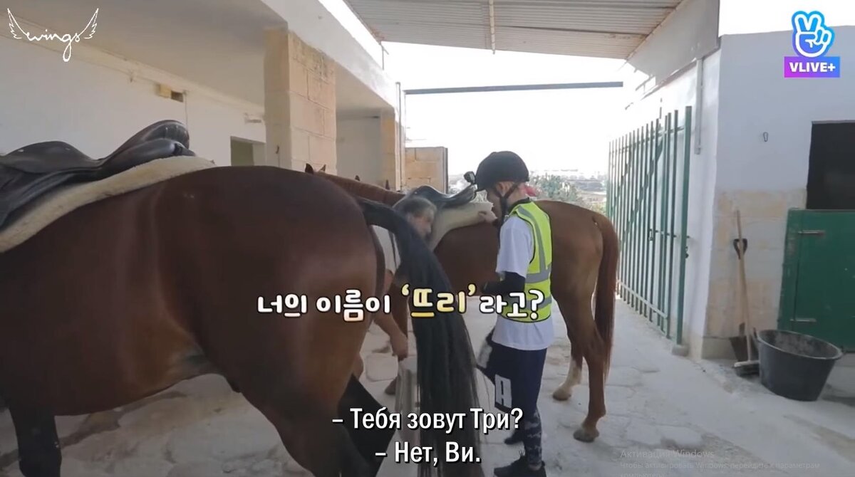 BTS 'Bon Voyage'. Season 3. Episode 4