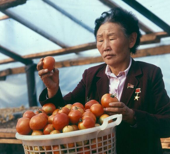 Сайт Минсельхоза Якутии: Герой социалистического труда Екатерина Новгородова
