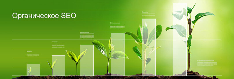 SEO —  Search Engine Optimization (оптимизация под поисковые системы)