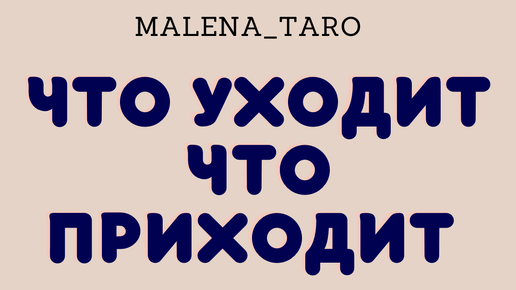 Малена таро