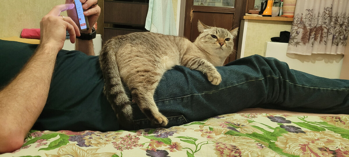 Закрой рот, женщина!