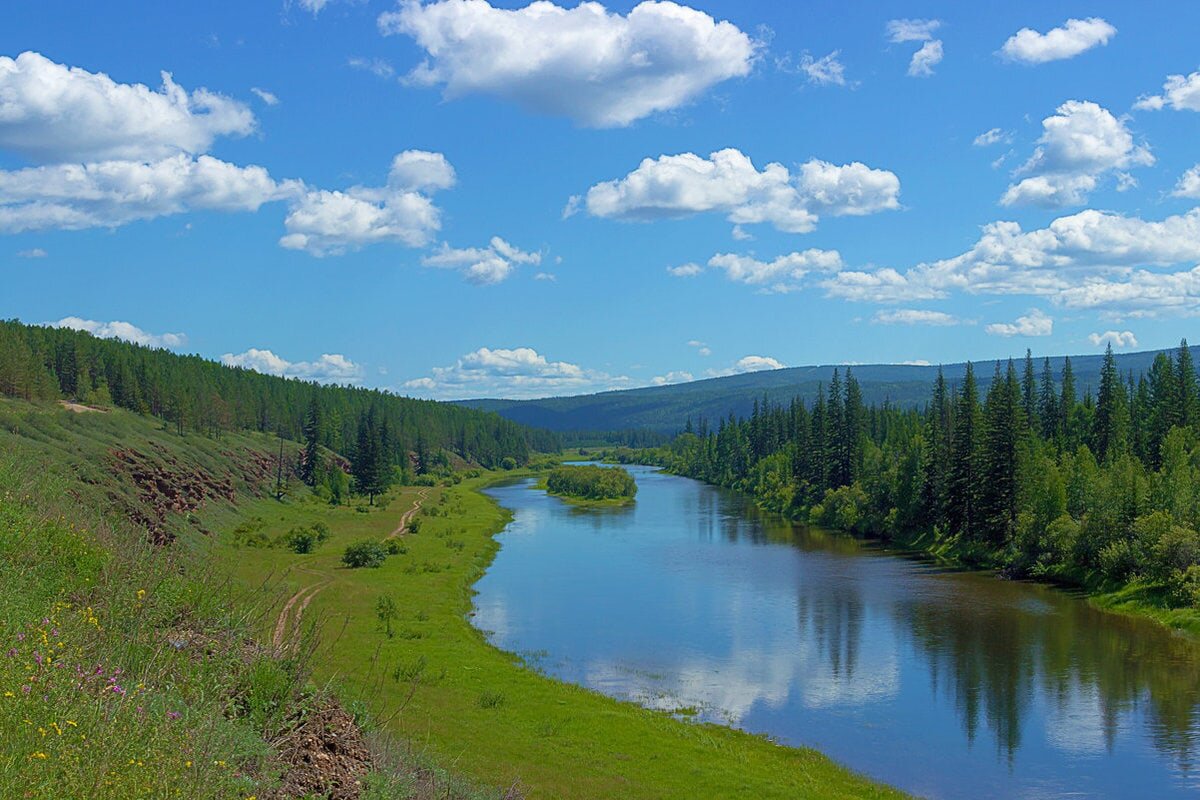 Яндекс картинки    