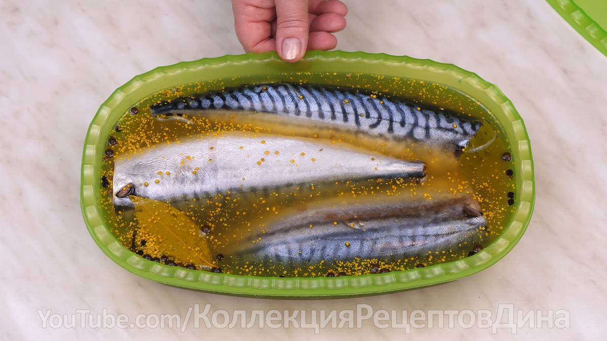 🐟 Скумбрия (сельдь) пряного посола целиком в домашних условиях! Солим  скумбрию в горчичном рассоле! | Дина, Коллекция Рецептов | Дзен