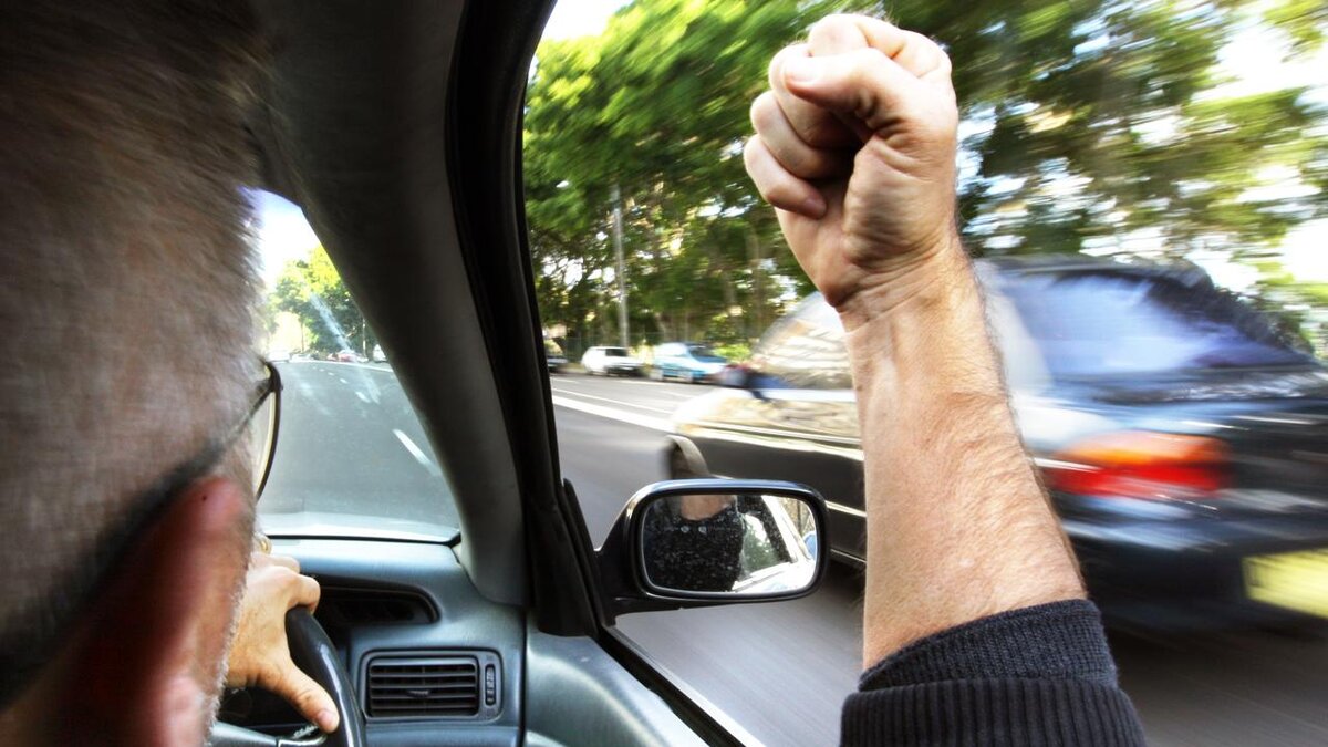 фото https://media.apnarm.net.au/