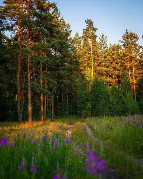 Автор фото - semin_ilya
