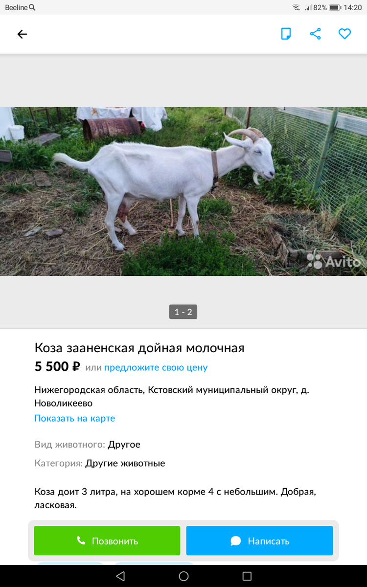 Фото автора. Реальность. 