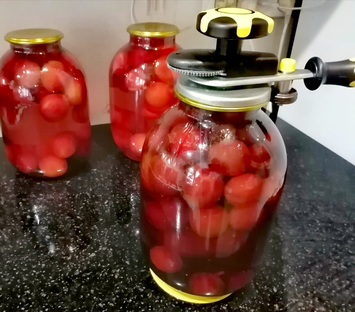 Компот из красной алычи Кубанская комета | 🍎В краю садов🍏 | Дзен